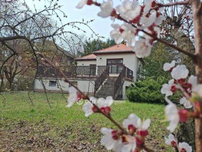 Eladó családi ház Budapest