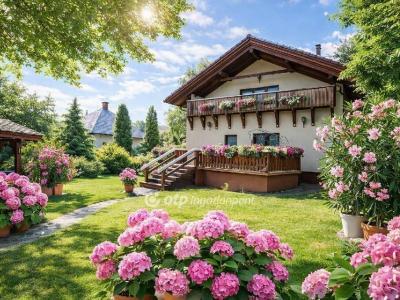 Eladó családi ház Érd