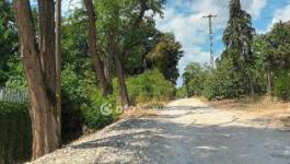 Eladó lakóövezeti telek Érd