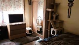 Eladó családi ház Budapest