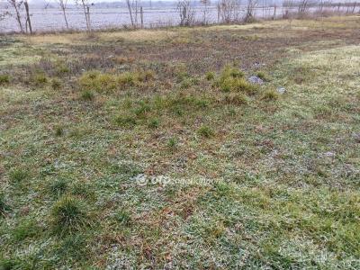 Eladó lakóövezeti telek Csongrád