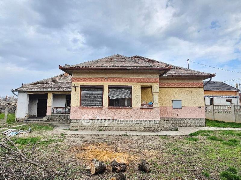 Eladó családi ház Csépa