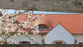 Eladó nyaraló Balatonalmádi