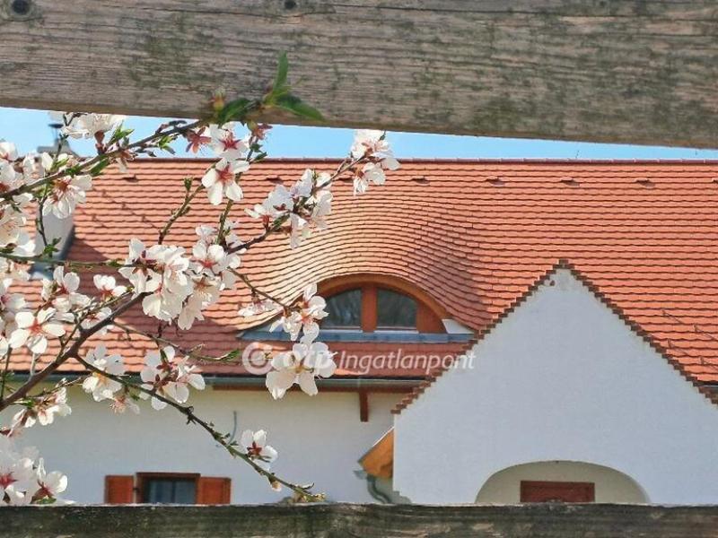 Eladó nyaraló Balatonalmádi