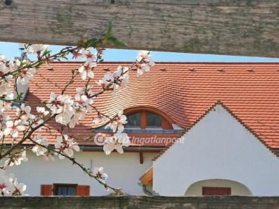 Eladó nyaraló Balatonalmádi
