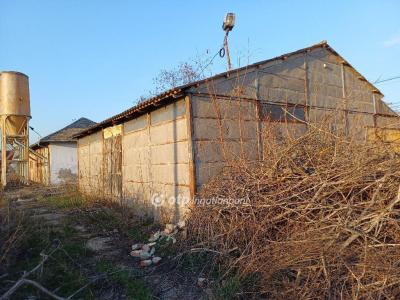 Eladó lakóövezeti telek Csongrád