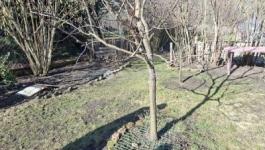 Eladó házrész Budapest