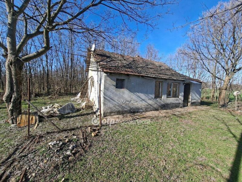 Eladó tanya Petőfiszállás