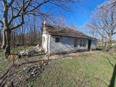 Eladó tanya Petőfiszállás