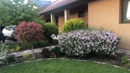 Eladó családi ház Dunakeszi