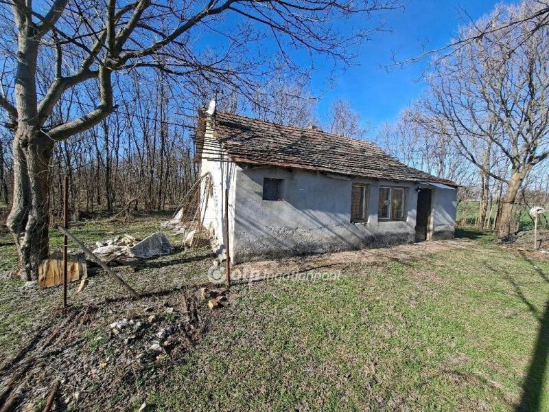 Eladó tanya Petőfiszállás