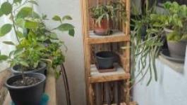 Eladó családi ház Aranyosgadány