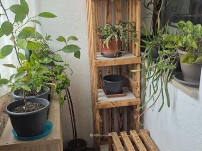 Eladó családi ház Aranyosgadány