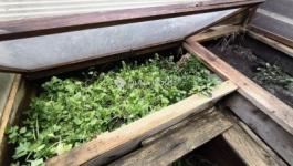 Eladó lakás Gödöllő