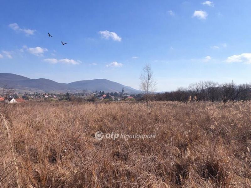 Eladó családi ház Erdőbénye