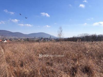 Eladó családi ház Erdőbénye