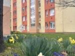 Eladó lakás Szombathely