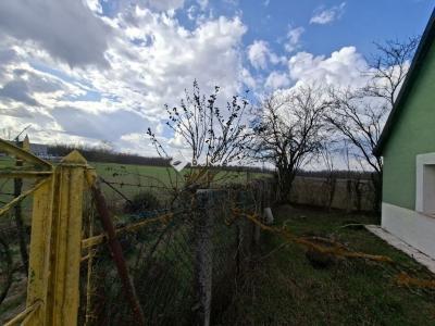 Eladó tanya Tápiószecső
