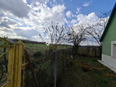 Eladó tanya Tápiószecső