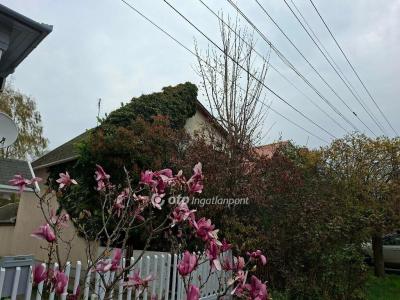 Eladó családi ház Hajdúszoboszló