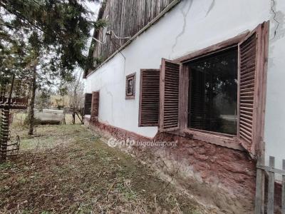 Eladó tanya Derekegyház