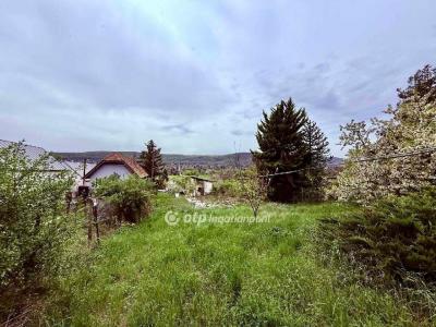 Eladó lakóövezeti telek Solymár