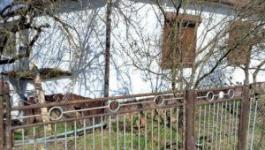 Eladó családi ház Lispeszentadorján