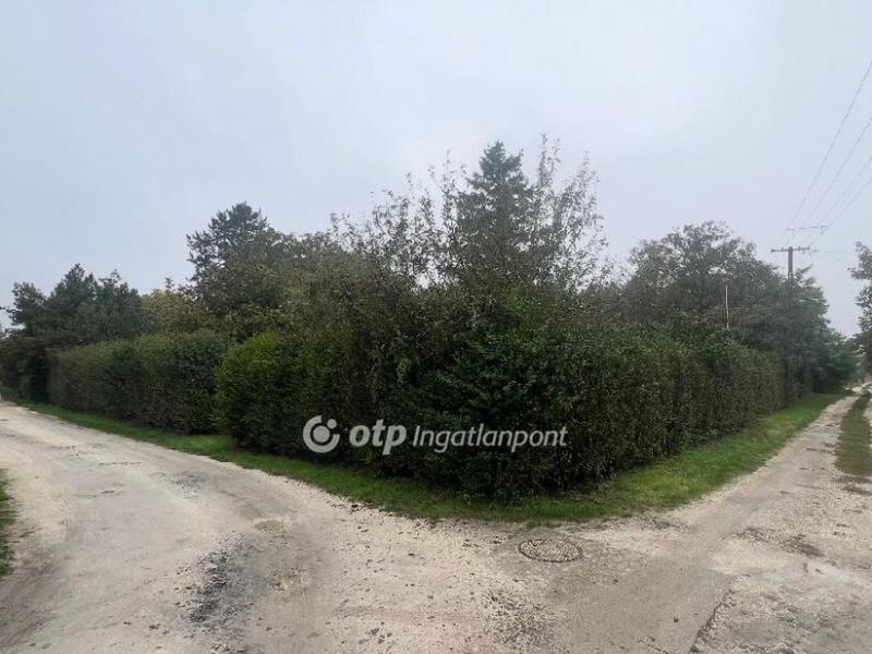 Eladó nyaraló Szolnok