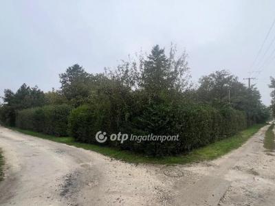 Eladó nyaraló Szolnok