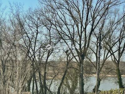 Eladó családi ház Őrbottyán