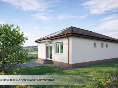 Eladó családi ház Onga