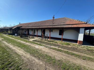 Eladó családi ház Tiszanána