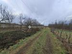 Eladó tanya Tápiószecső