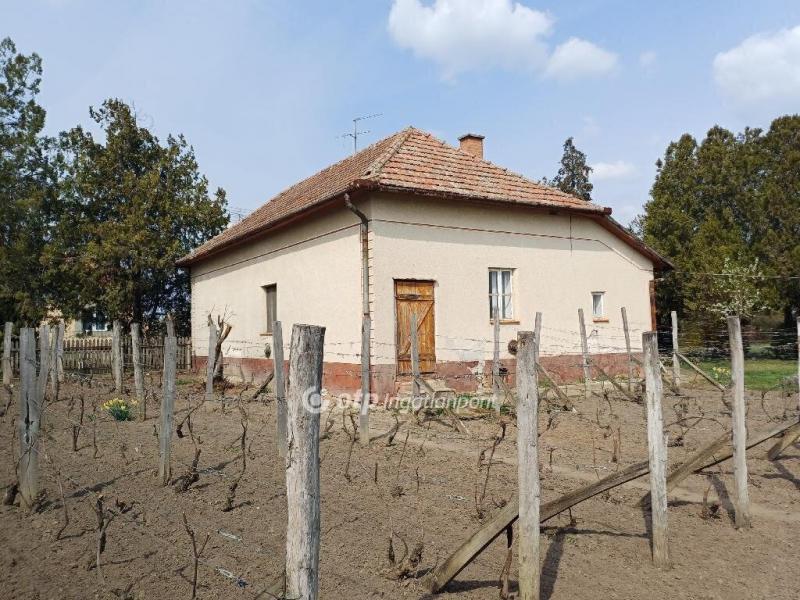 Eladó családi ház Csanytelek