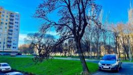 Eladó lakás Debrecen