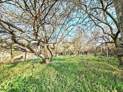 Eladó családi ház Budapest