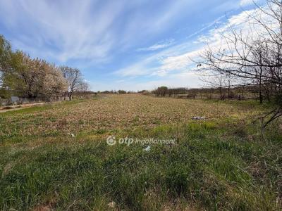 Eladó nyaraló Nyíregyháza
