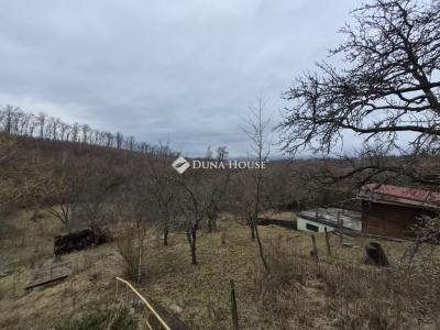 Eladó családi ház Nógrád
