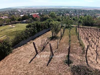 Eladó lakóövezeti telek Pákozd