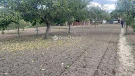 Eladó családi ház Zsámbok