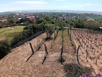 Eladó lakóövezeti telek Pákozd