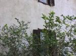 Eladó családi ház Balatonalmádi