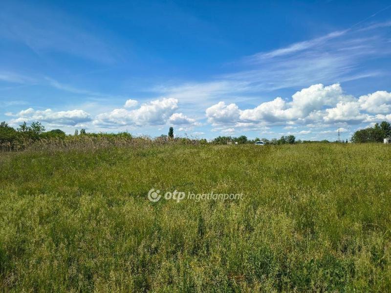 Eladó lakóövezeti telek Siófok