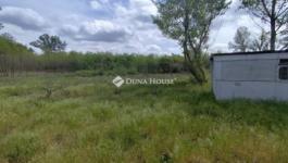 Eladó üdülőövezeti telek Monor Monorierdő
