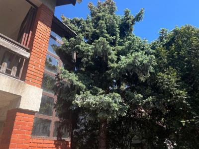 Eladó családi ház Budapest