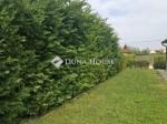 Eladó családi ház Pannonhalma