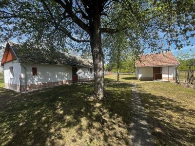 Eladó tanya Kecskemét