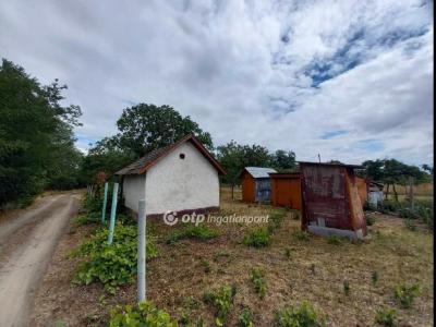 Eladó nyaraló Csongrád