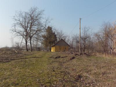 Eladó tanya Kiskunfélegyháza