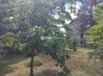 Eladó lakás Pécs